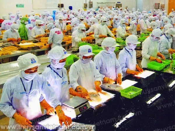 Công ty TNHH kinh doanh chế biến TS & XNK Quốc Việt (Quoc Viet Co., Ltd)