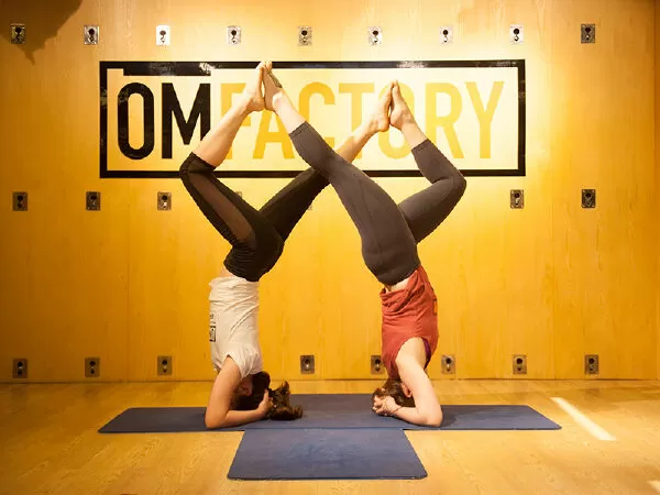 OM Factory Hà Nội