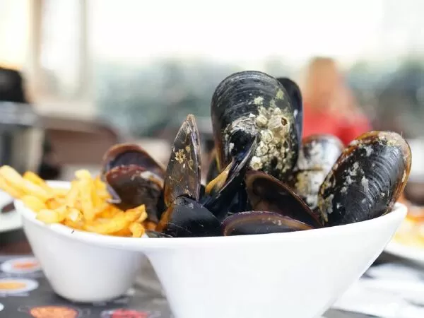 Món Moules Frites ở Bỉ