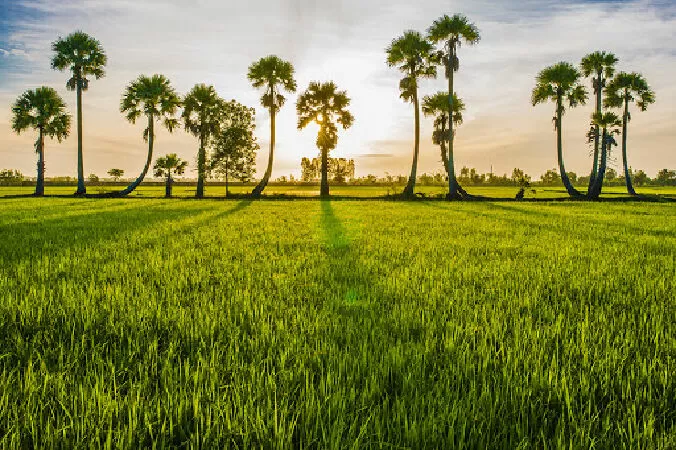 Tỉnh An Giang