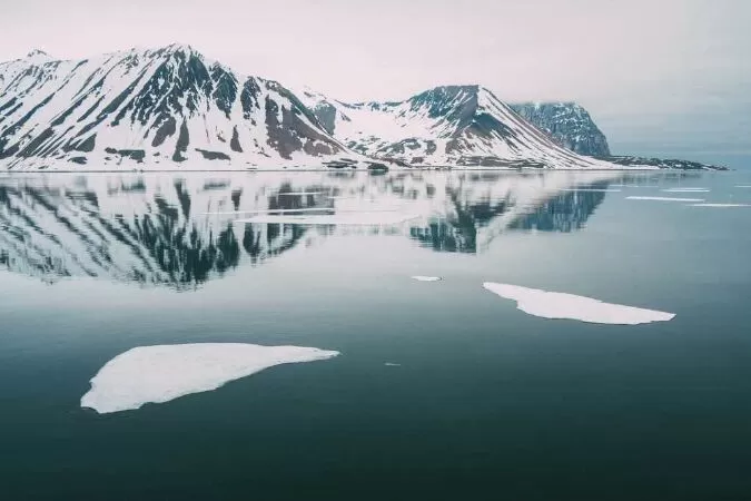 Tìm kiếm gấu Bắc Cực ở Svalbard
