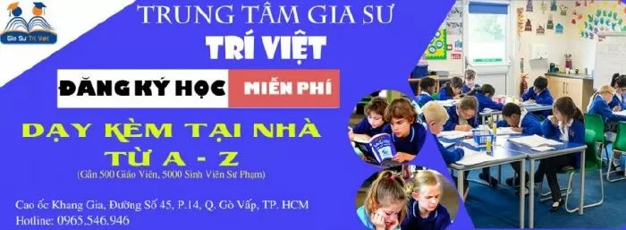 Trung tâm gia sư tại Tp HCM - Trí Việt