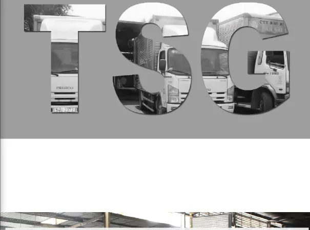 Công ty bao bì tại Tp HCM lớn nhất - Tân Sài Gòn