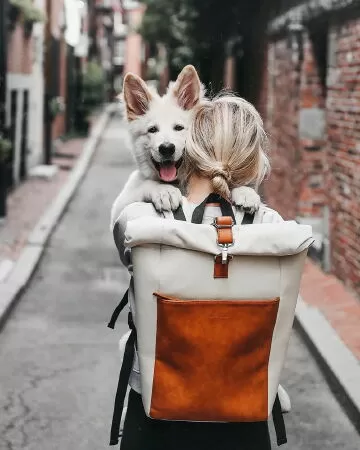 Ba lô được thiết kế đẹp nhất: Kapten & Son Lund “Sand Brown”