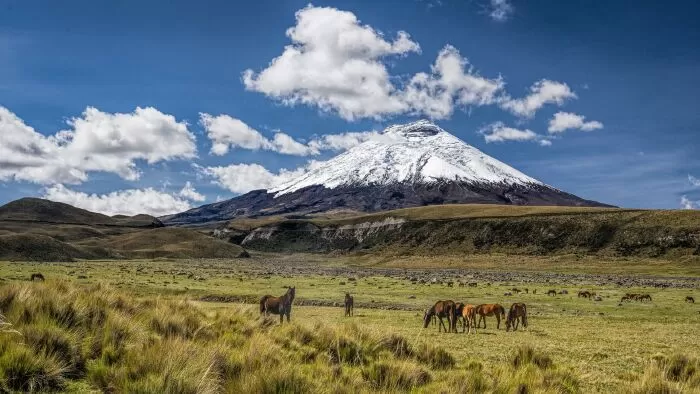 Núi lửa Cotopaxi, Ecuador