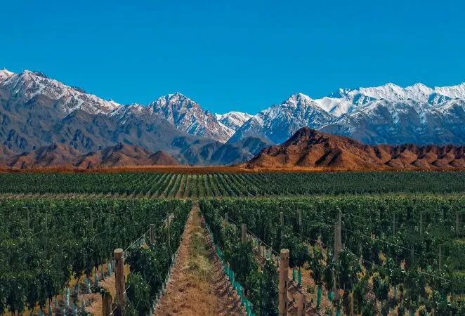 Thành phố Mendoza ở Argentina