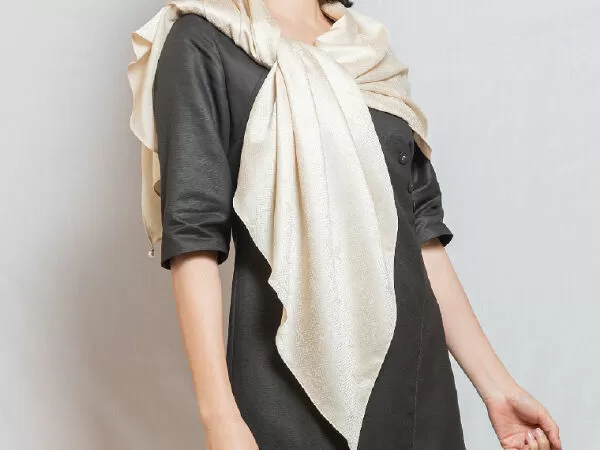 Silky Việt Nam