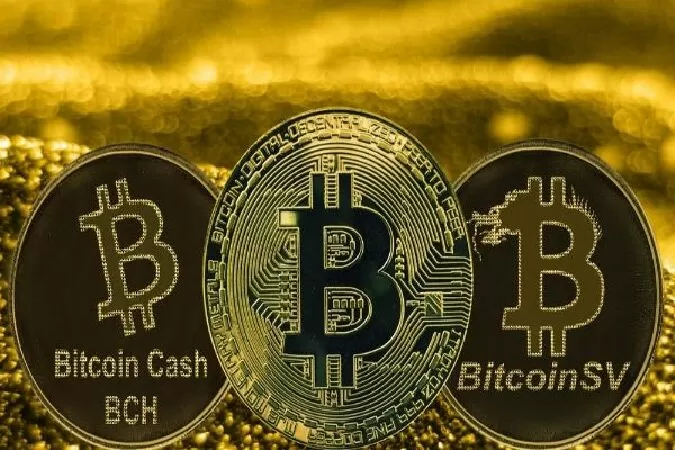 Bitcoin Cash(BCH)
