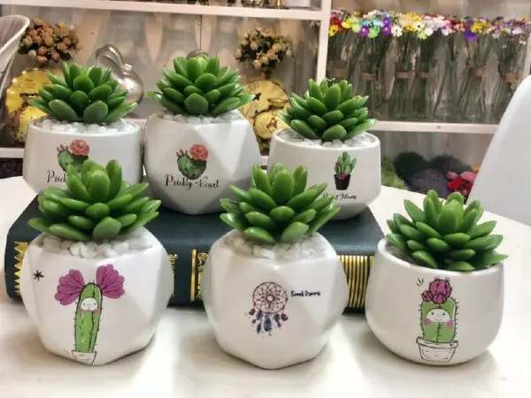 Chi Chi’s Garden