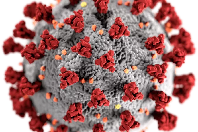 Dịch bệnh Covid-19 ( The COVID-19 Pandemic )