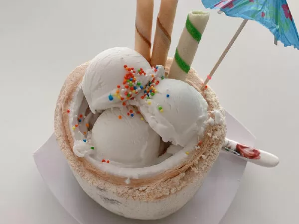 Bolomi - Kem Dừa Organic