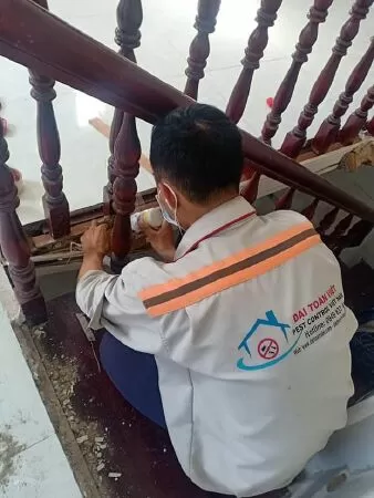 Công ty diệt mối và côn trùng Đại Toàn Việt