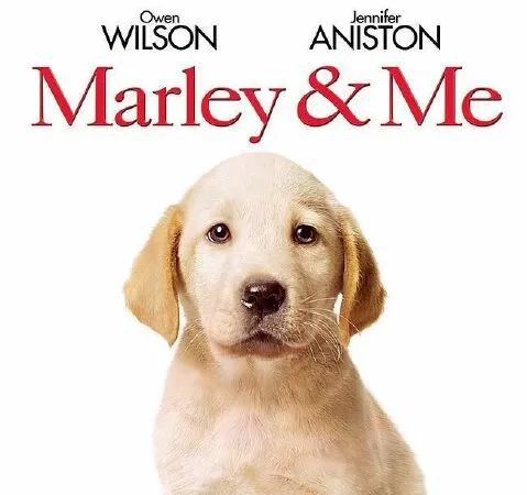 Phim về cún cưng thú vị nhất: Marley & Me (2008)