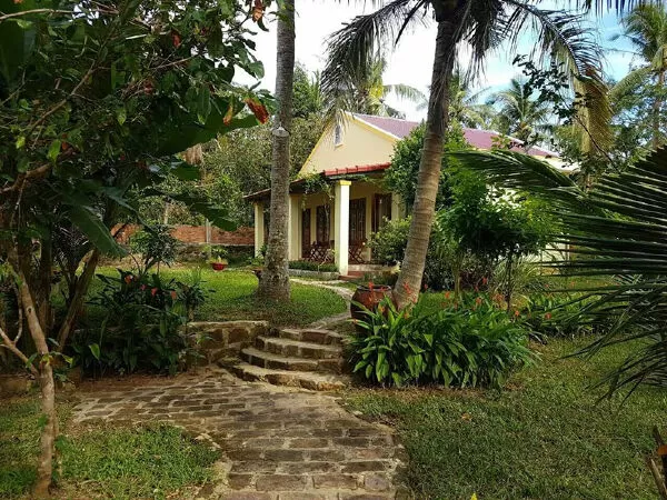 Culyt Hương Trà