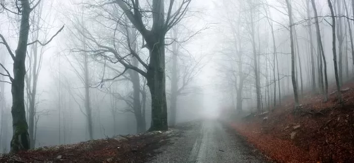 Con đường ma ám: đường Jeremy Swamp, thị trấn Southbury, bang Connecticut