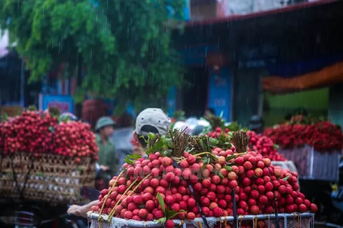 Huyện Thanh Hà