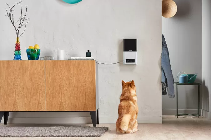 Tiện ích thông minh giúp tự động hóa ngôi nhà: Camera thú cưng Petcube Bites