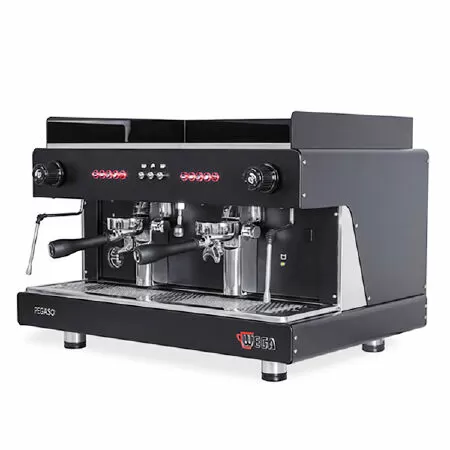 Máy pha cà phê chuyên nghiệp Wega Pegaso 2 Group