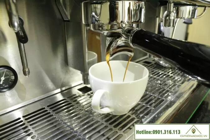 Công ty cổ phần TNHH Cà Phê Rang Mộc