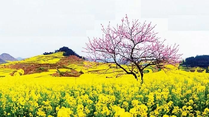 Xuân và tuổi trẻ
