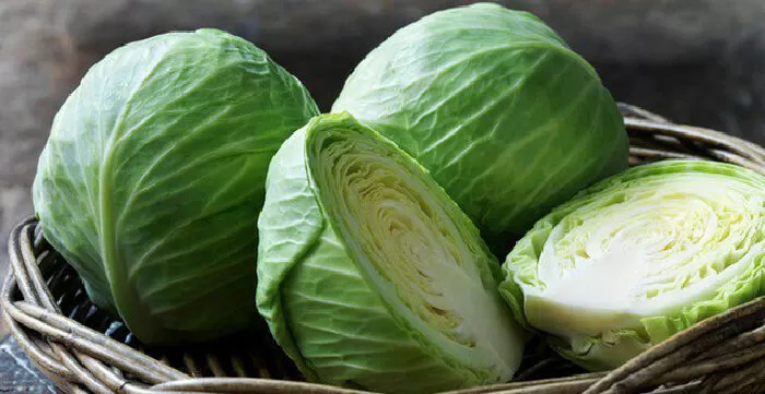 Rau bắp cải