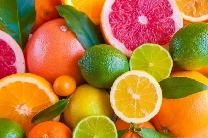 Các loại trái cây họ cam - thực phẩm tốt nhất cho người tập Gym