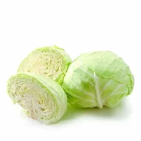 Bắp cải
