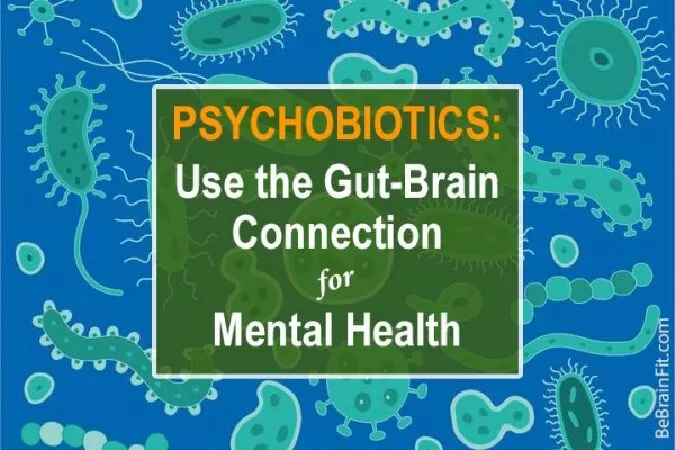 Bổ sung probitic chuyên biệt (psychobiotics)