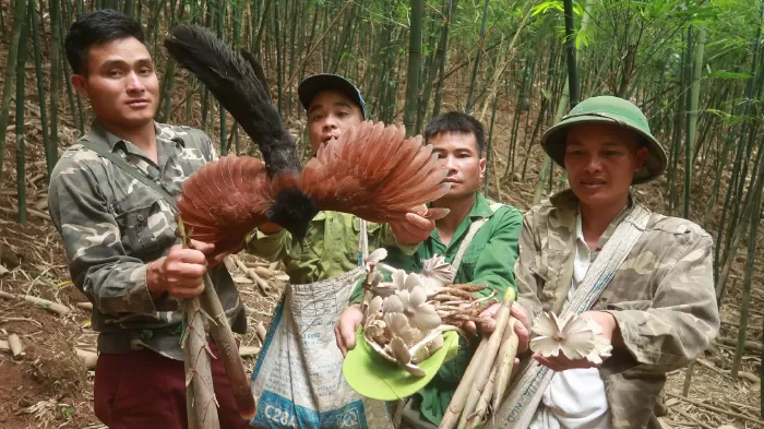 Nhịp sống Tây Bắc