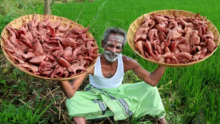 Village Food Factory