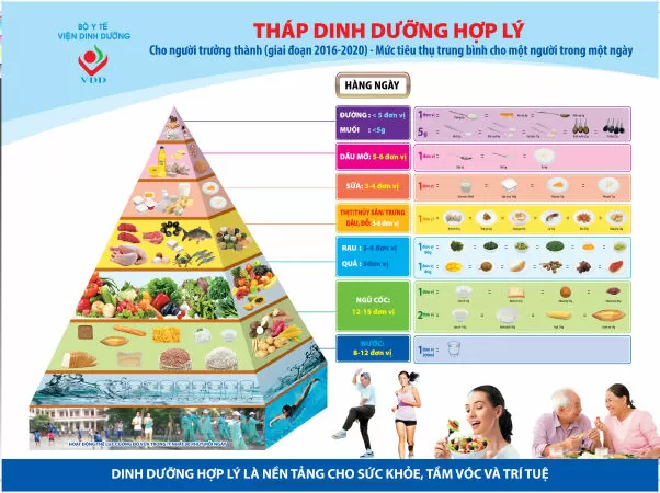 Xây dựng chế độ dinh dưỡng hợp lý