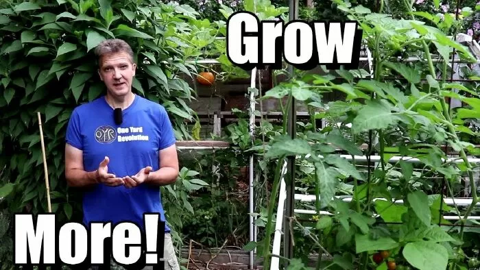 Kênh youtube làm vườn hữu cơ hay nhất: OYR Frugal & Sustainable Organic Gardening