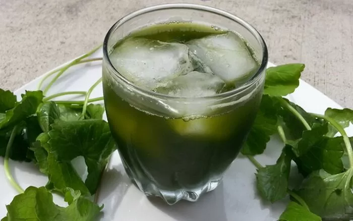 Duy trì hệ thần kinh