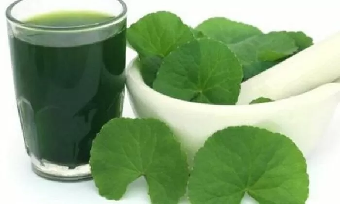 Trị sốt xuất huyết