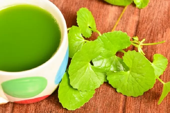 Điều trị bệnh Alzheime
