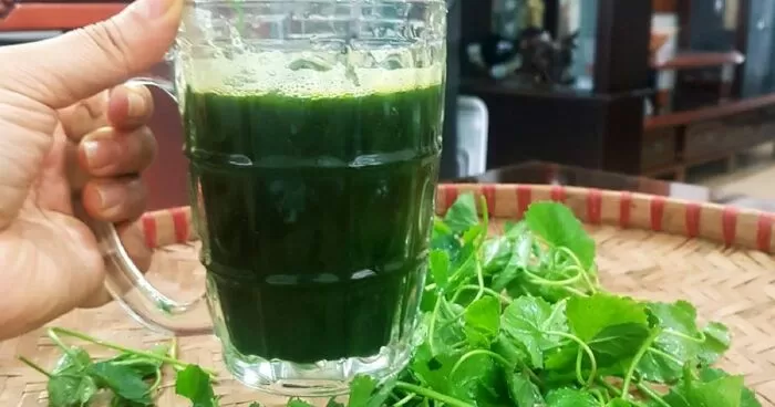 Cải thiện hệ thống miễn dịch