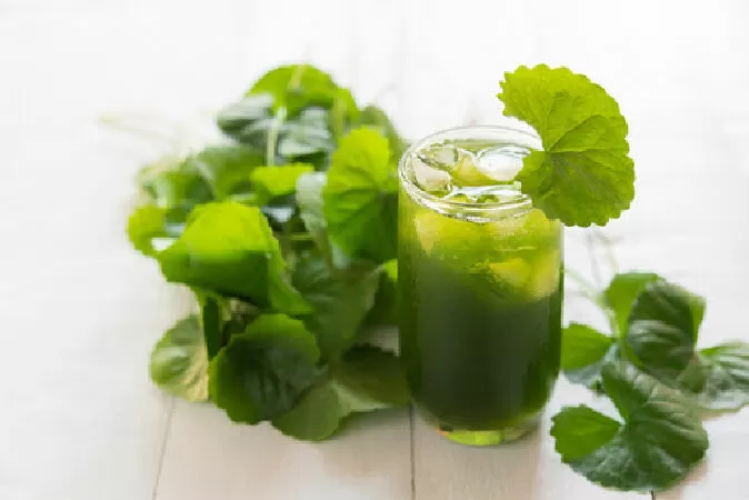 Top 15 công dụng nước ép rau má mà bạn nên biết