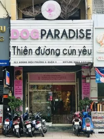 Dog Paradise