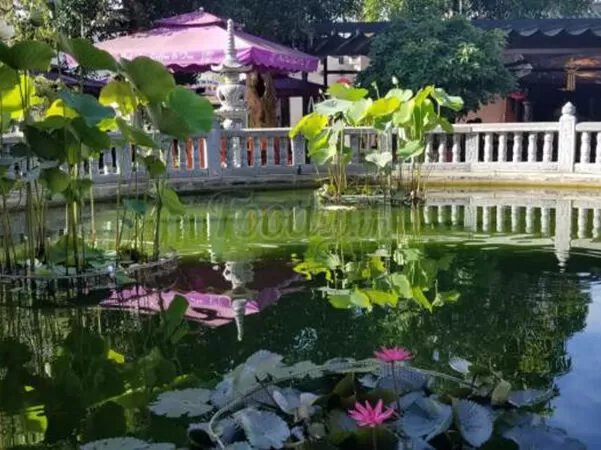Huế Xưa Cafe