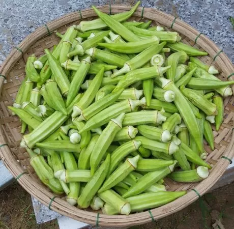 Tốt cho sức khỏe của mắt