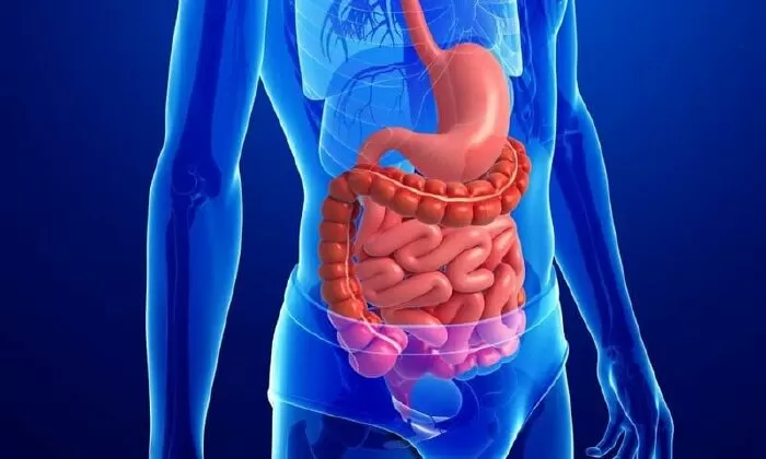 Nước ép rau bina giúp làm sạch hệ thống tiêu hóa