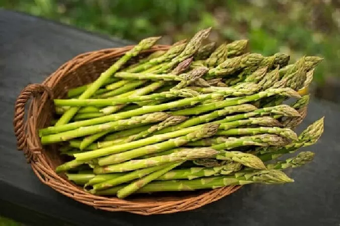 Giúp giảm cân