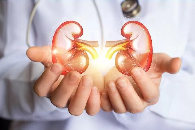 Nước rau diếp cá hỗ trợ điều trị sỏi thận