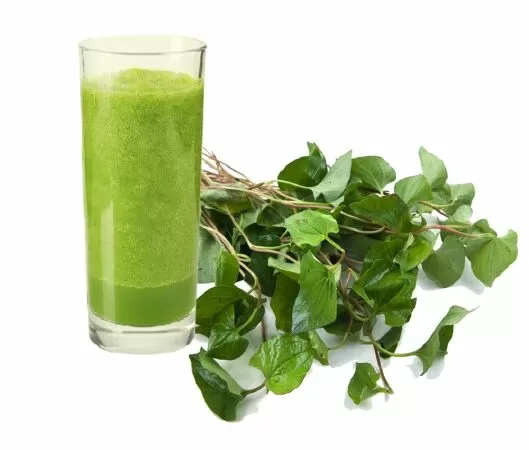 Nước rau diếp cá cung cấp chất chống oxy hóa