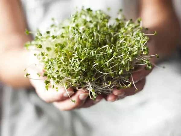 Cải thiện sức khỏe thị lực