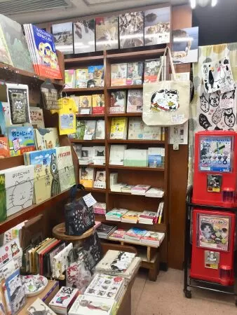 Hiệu sách đẹp ở Tokyo: Cat Bookstore Anegawa Nyankodo (hiệu sách mèo Anegawa Nyankodo)