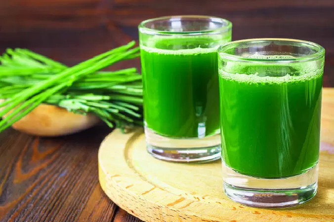 Nước ép cỏ lúa mì giúp loại trừ tế bào ung thư
