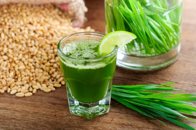 Nước ép cỏ lúa mì hỗ trợ điều chỉnh đường huyết