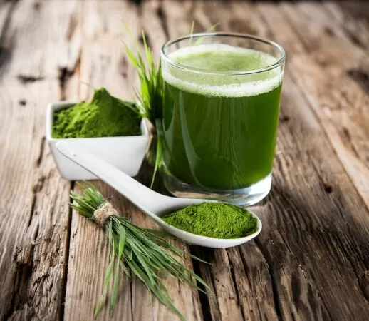 Nước ép cỏ lúa mì giúp tăng hồng cầu