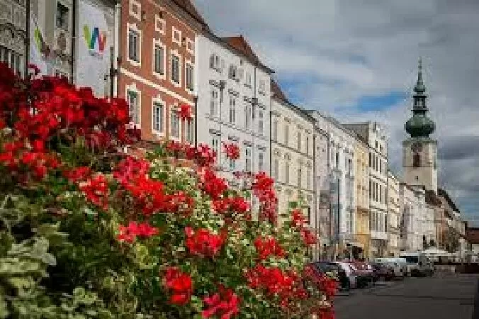 Wels
